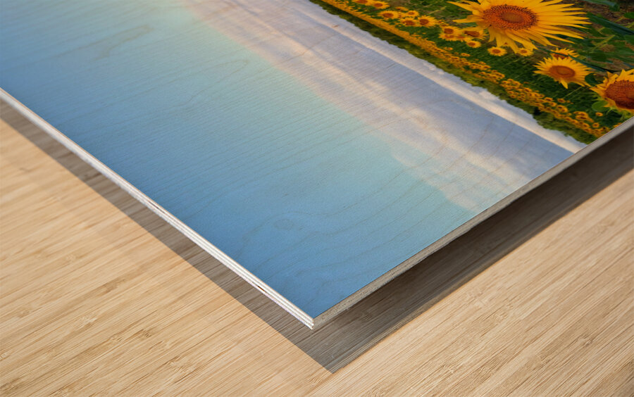 The Heart of Summer  Impression sur bois