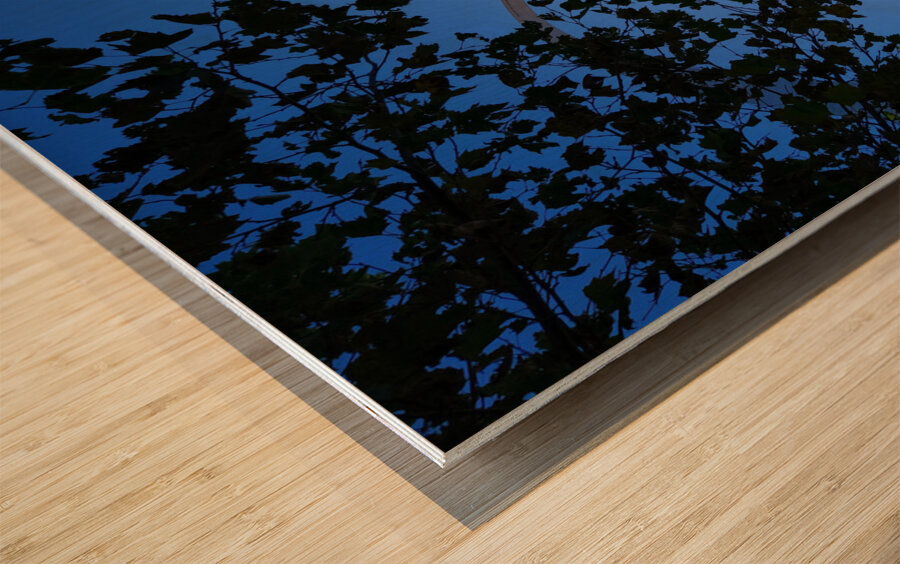 Man Meets Nature in the Sky  Wood print