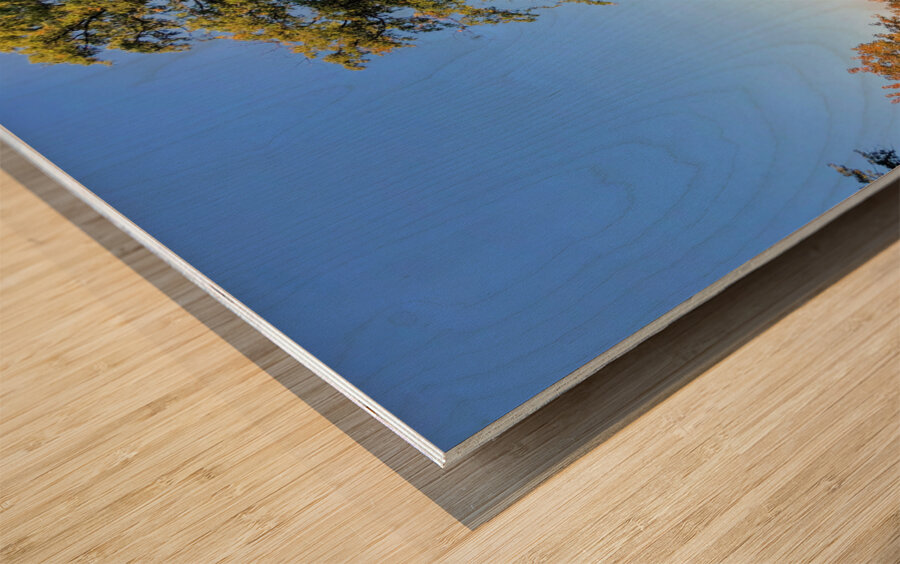 Reservoir Passage Wood print