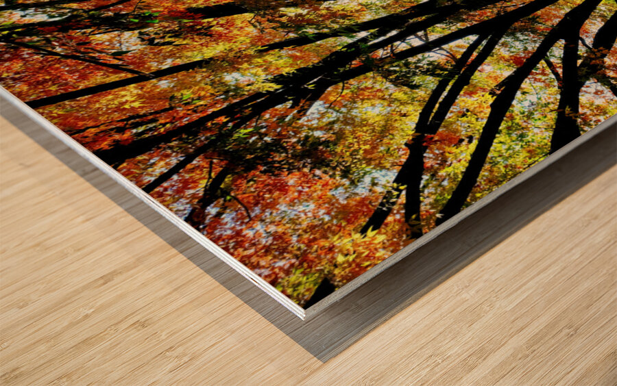 A Stroll in Color Wood print