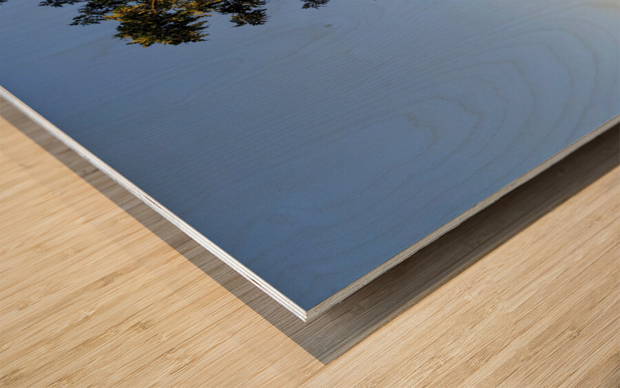 Framed Reflections – Central Park Impression sur bois