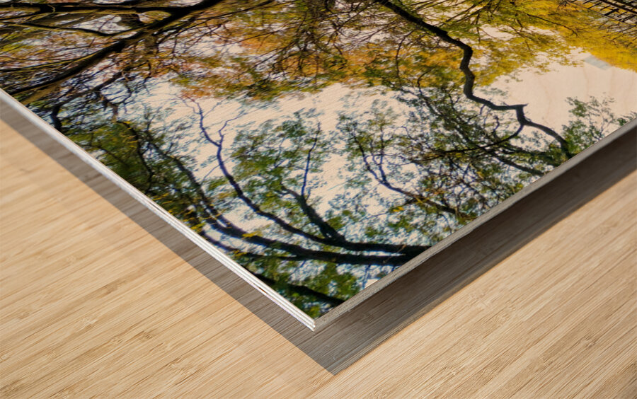 The Quiet Barrel Impression sur bois