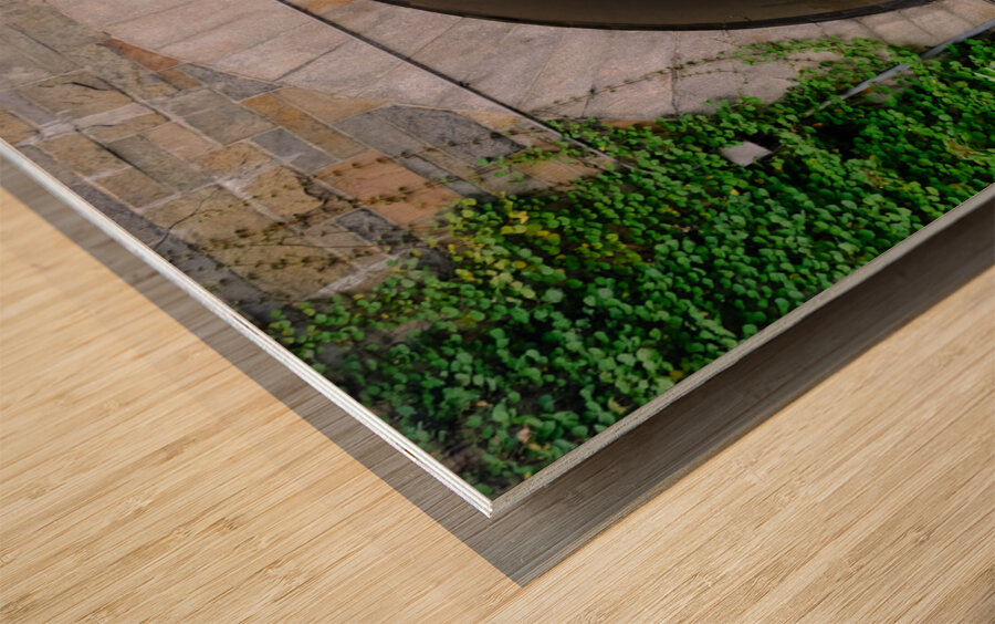 Vaulted Passage Wood print