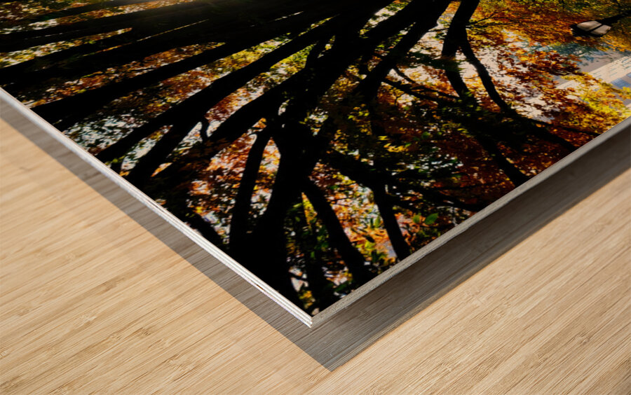 Shades of Autumn Wood print