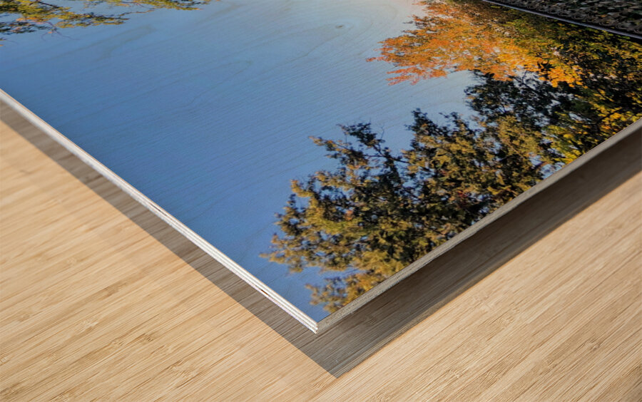 Bridge to Central Park Reservoir  Wood print