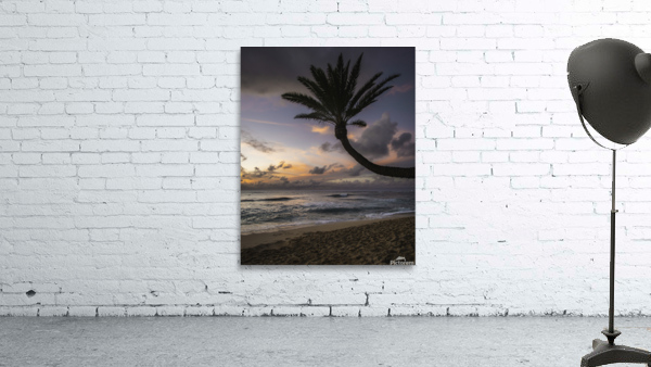 The Magic Hour Wall Preview
