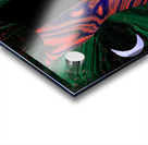 spirit humming cat Acrylic print