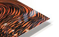 fire will cat HD Metal print
