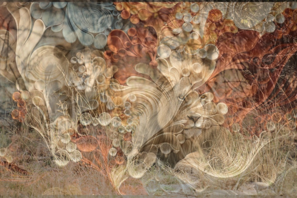 BOSS - Subtle Fierceness Digital Download