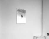 BOSS TREE Acrylic Print