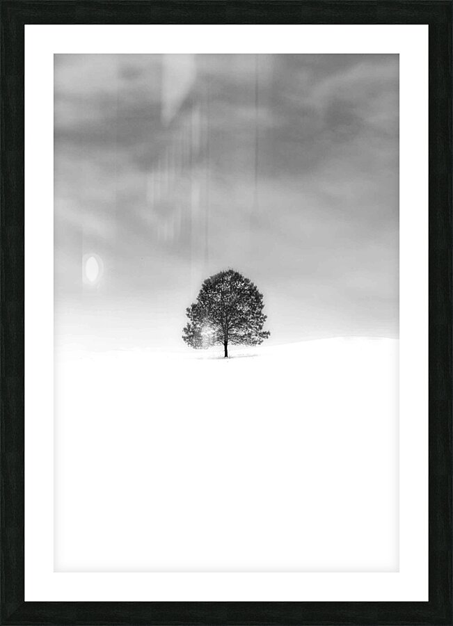 BOSS TREE Picture Frame print