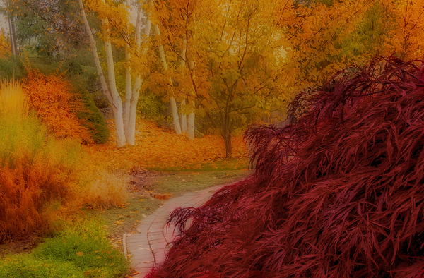 Fall Color Digital Download