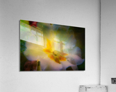 Primrose Acrylic Print