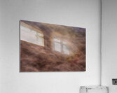 Lake Grasses Acrylic Print