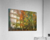 Aspen Grove Acrylic Print