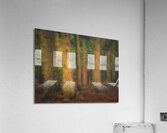Mystical Forest Acrylic Print