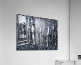 Dancing Aspens Acrylic Print