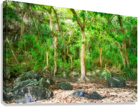 Sealodge Beach Forest Canvas Print
