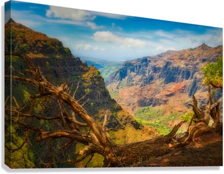 Waimea Canyon Canvas Print