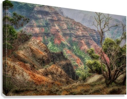 Waimea Canyon2 Canvas Print