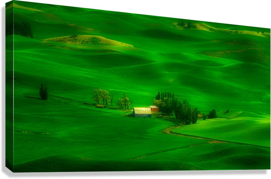 Palouse Homestead Canvas Print