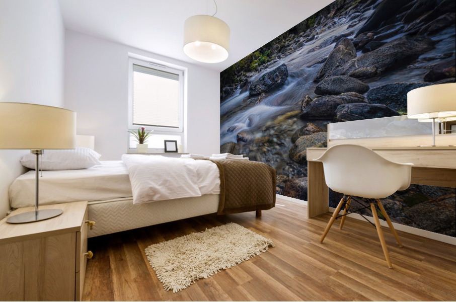 Newhalem Creek Mural print