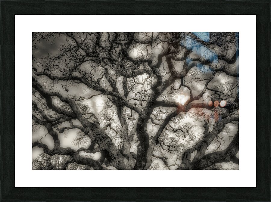 Oak Picture Frame print