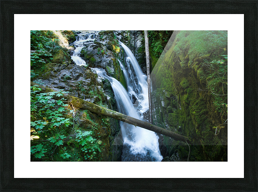 Sol Duc Falls Picture Frame print