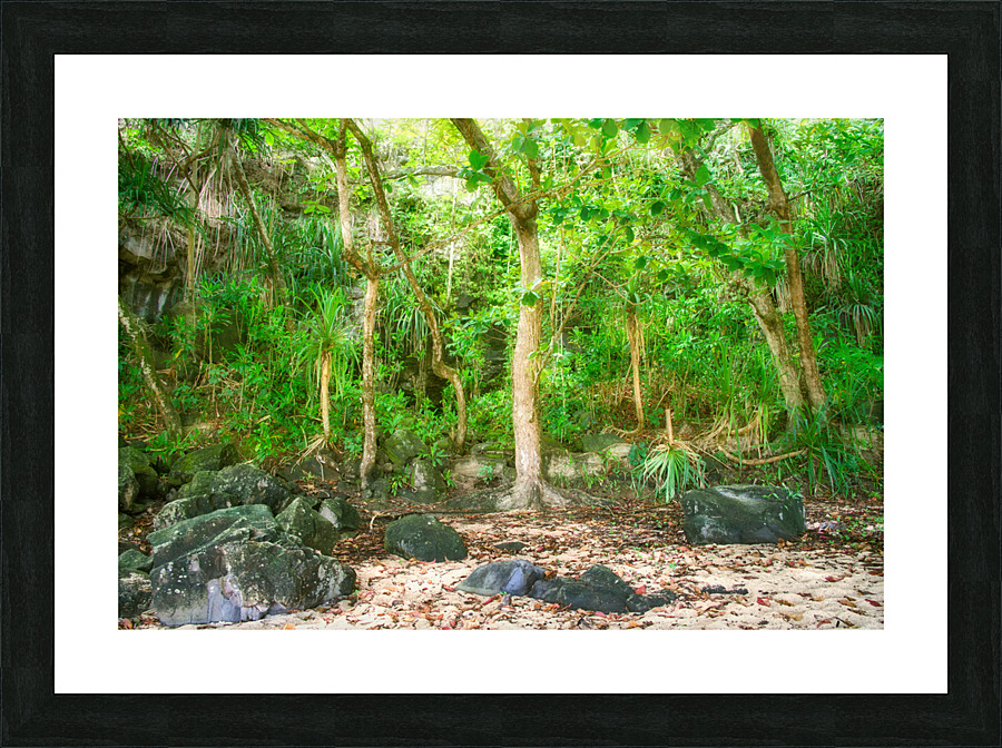 Sealodge Beach Forest Picture Frame print