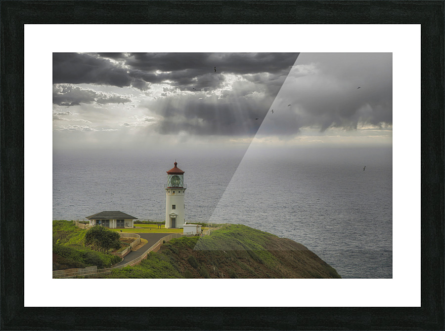 Kilauea Lighthouse2 Picture Frame print