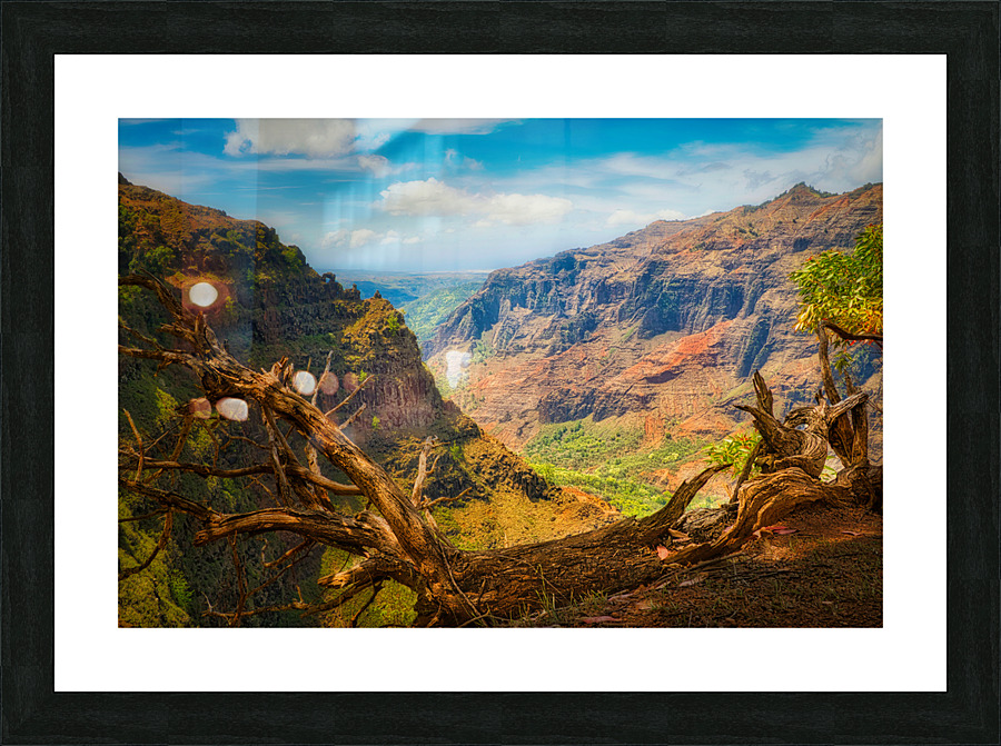 Waimea Canyon Picture Frame print