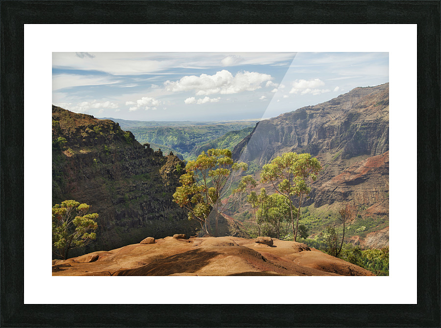 Waimea Canyon 4 Picture Frame print