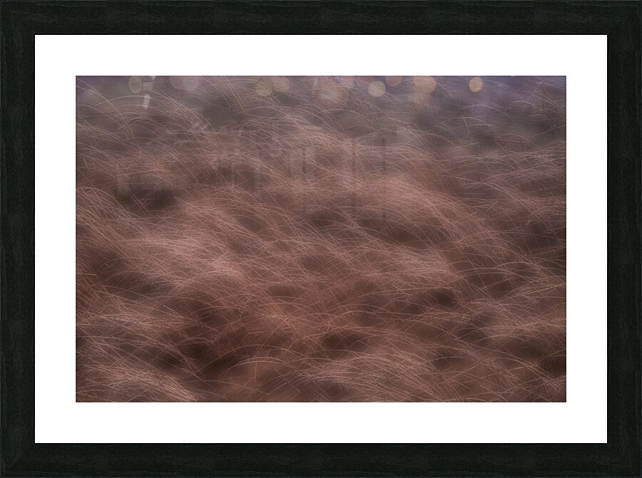 Lake Grasses Picture Frame print