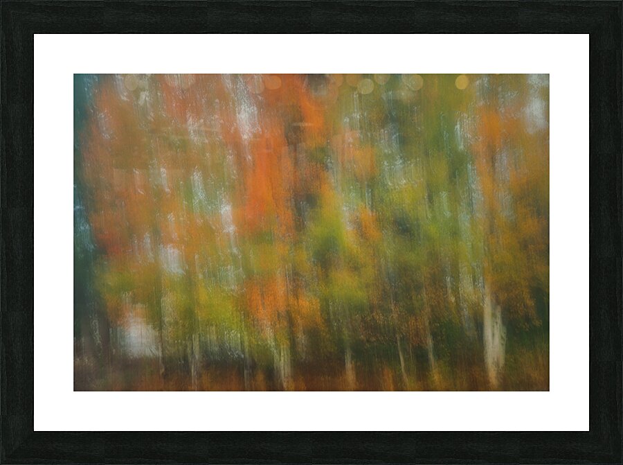 Aspen Grove Picture Frame print