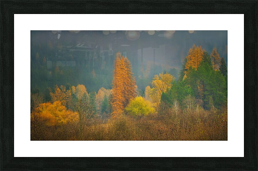 Fall Color Picture Frame print