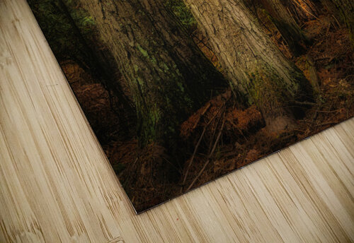 Forest at the Confluence Dan Eskelson puzzle