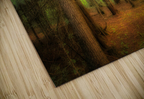 Moody Forest Dan Eskelson puzzle