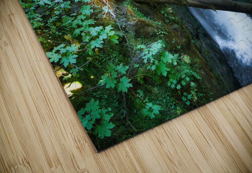 Sol Duc Falls Dan Eskelson puzzle