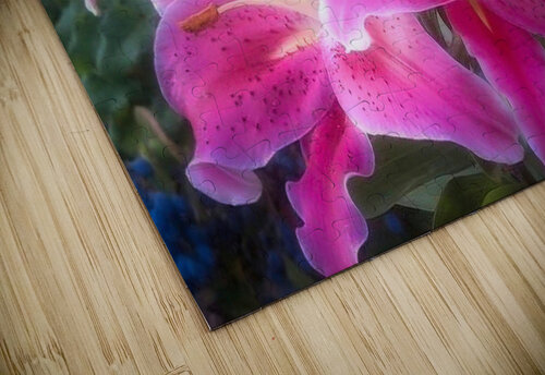 Stargazer Lily Dan Eskelson puzzle