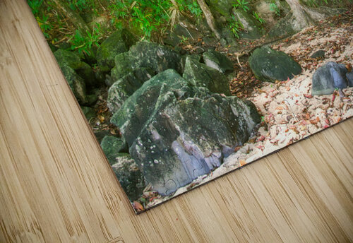Sealodge Beach Forest Dan Eskelson puzzle