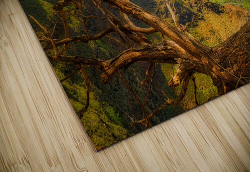 Waimea Canyon Dan Eskelson puzzle