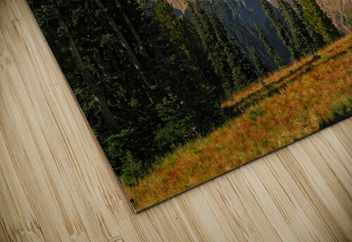 Mt. Rainier Dan Eskelson puzzle