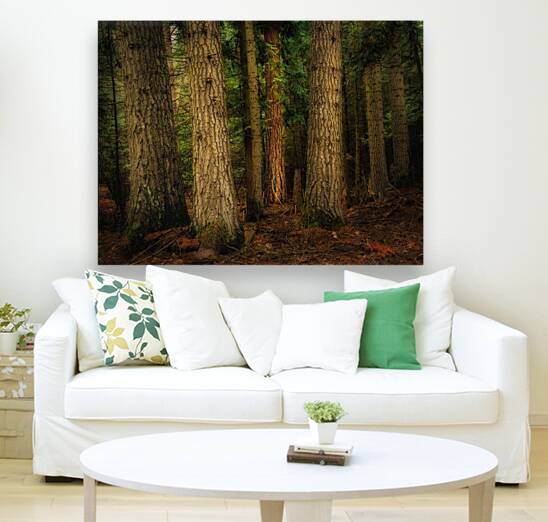 Forest at the Confluence Reproduction