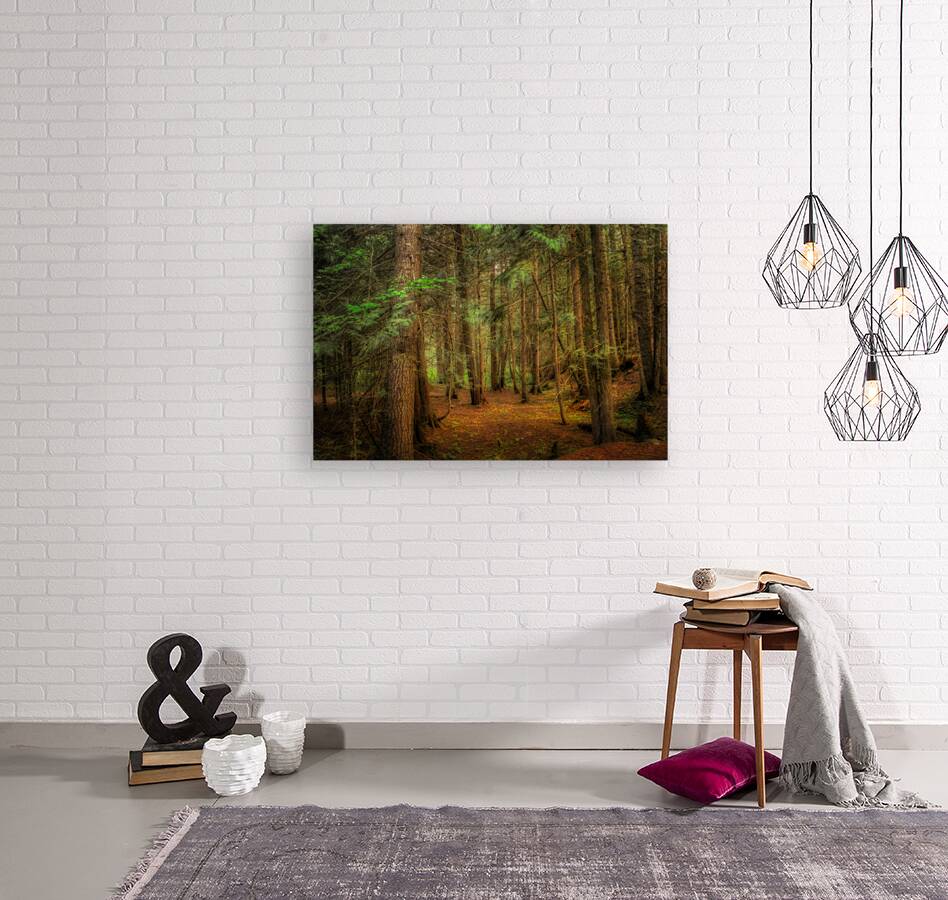 Moody Forest Reproduction