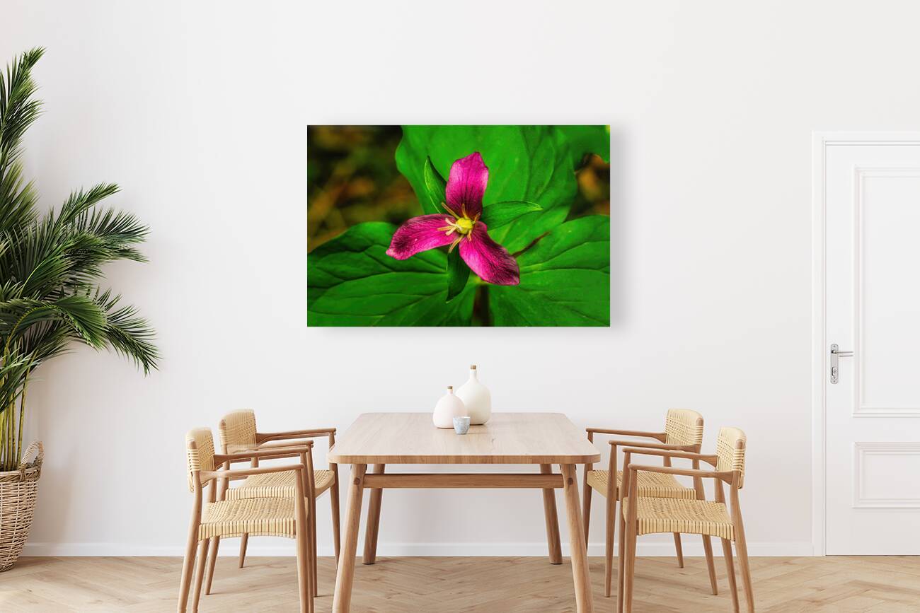 Pink Trillium Reproduction