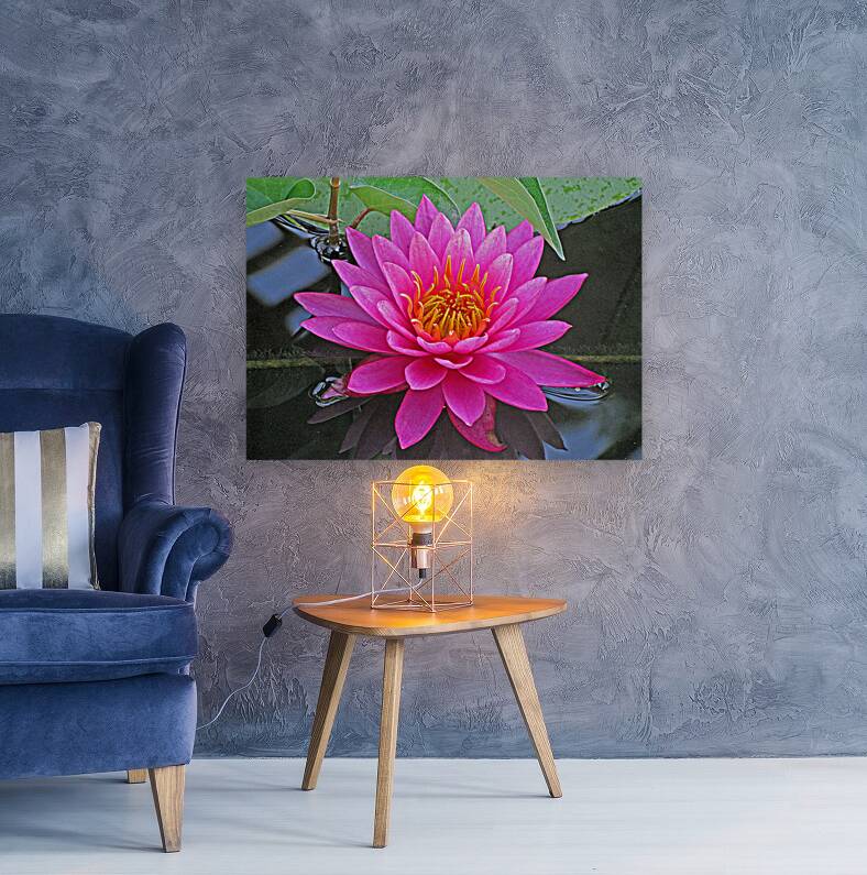 Water Lily Reproduction