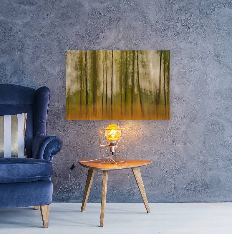 Forest Vision Reproduction