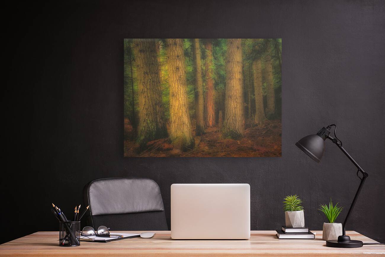Mystical Forest Reproduction