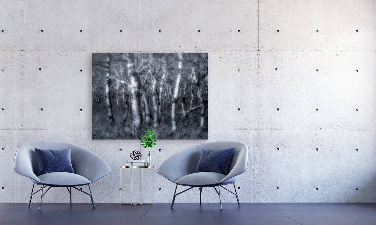 Dancing Aspens Reproduction