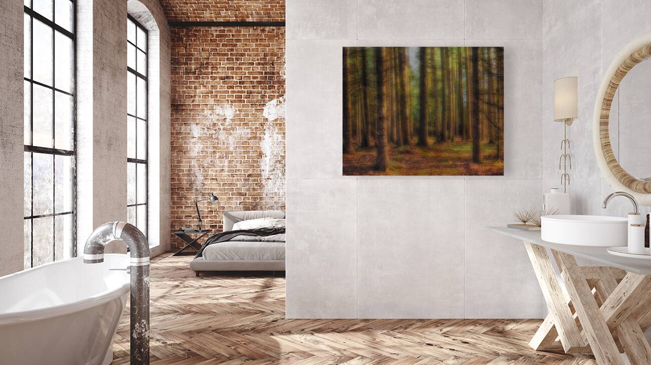 Forest Evening Light Reproduction